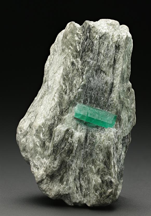 CC7674 specimen image