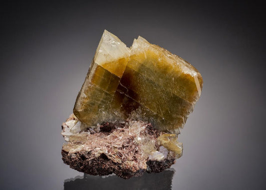 CC7675 specimen image