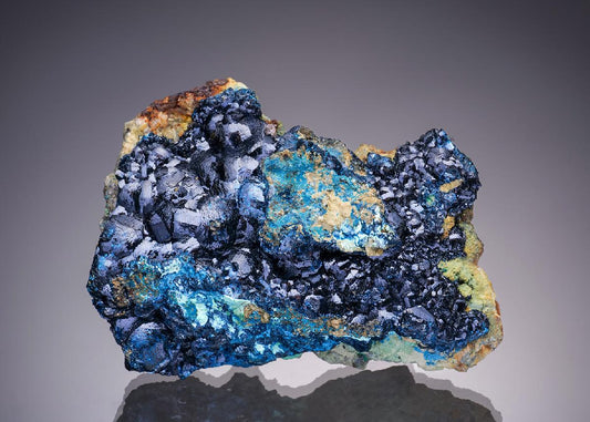 CC7683 specimen image