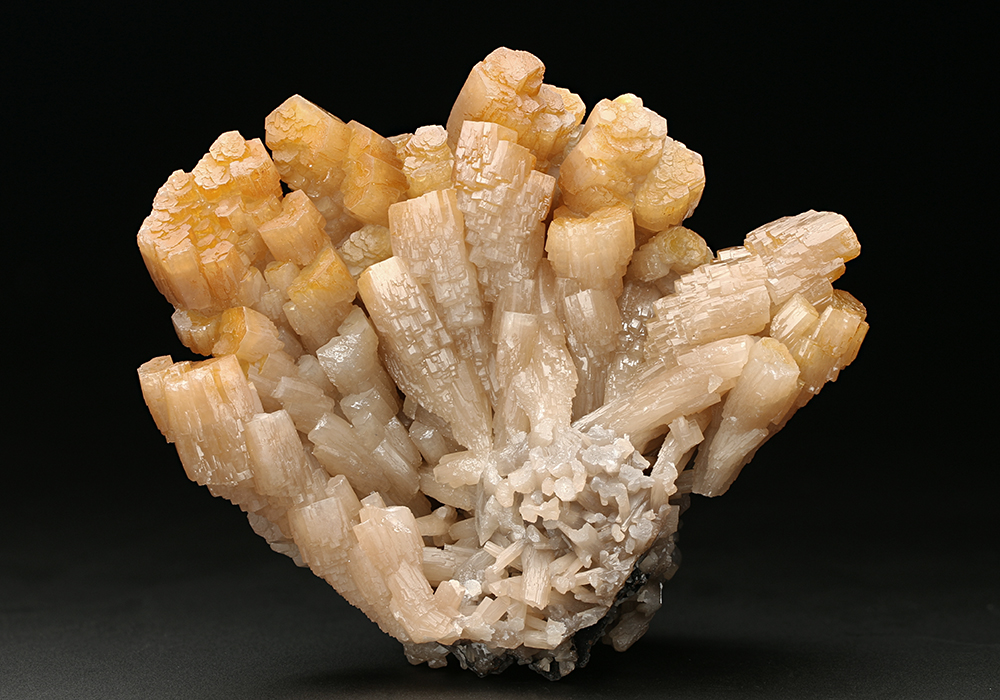 CC7684 specimen image