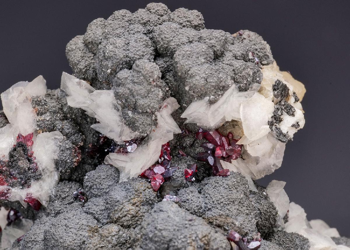 CC7688 specimen image