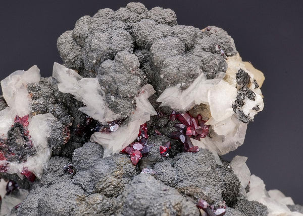 CC7688 specimen image