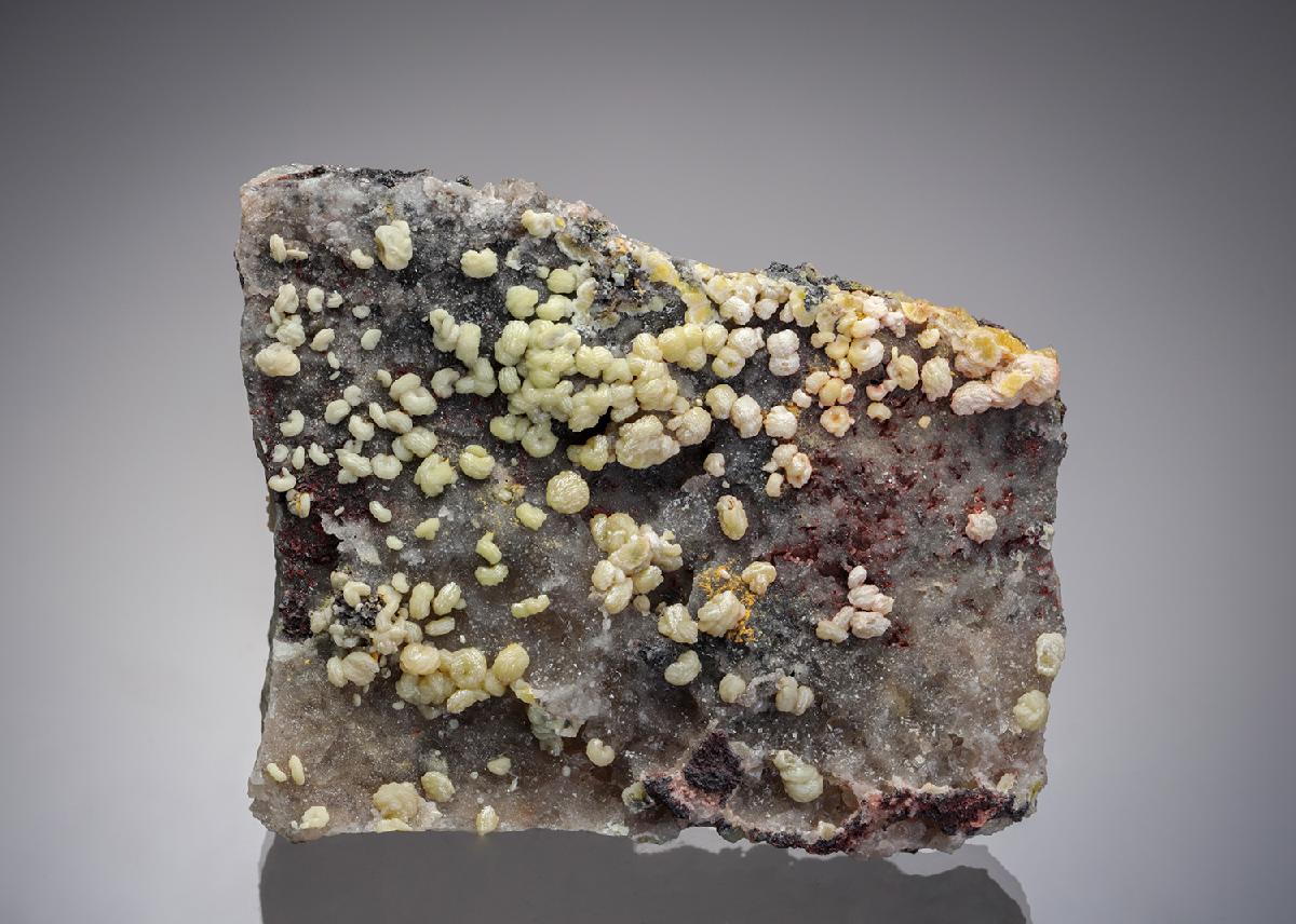 CC7691 specimen image