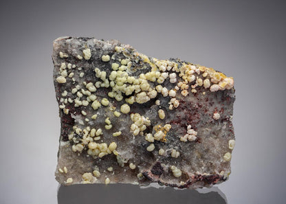 CC7691 specimen image