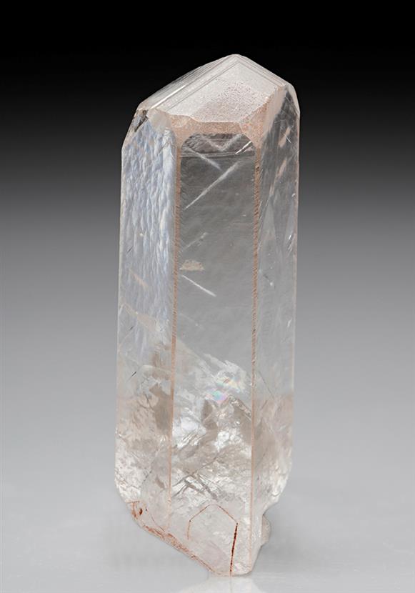 CC7705 specimen image