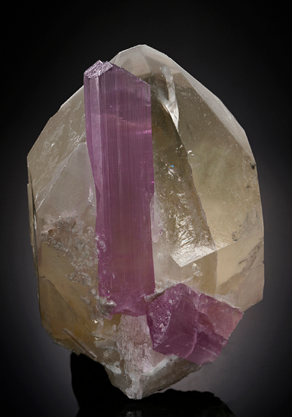 CC7712 specimen image