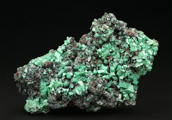 CC7714 specimen image