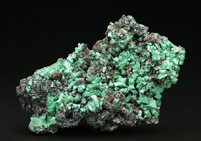 CC7714 specimen image