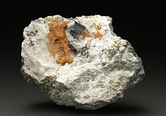 CC7715 specimen image