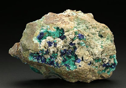 CC7718 specimen image