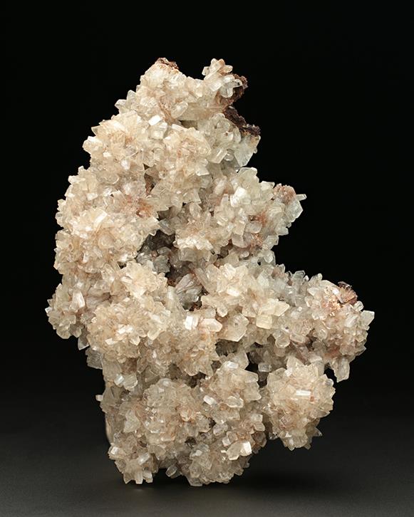 CC7719 specimen image