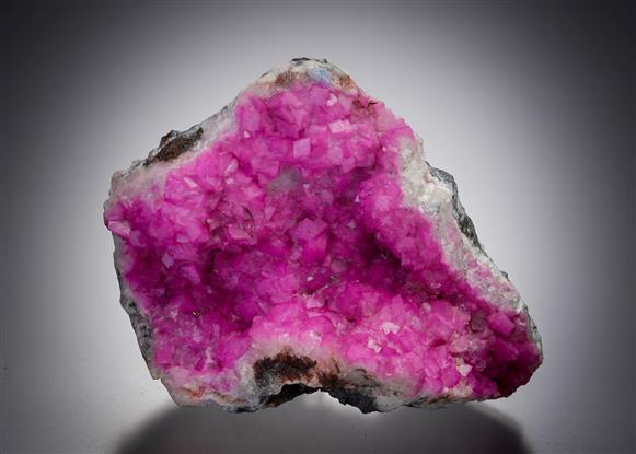 CC7722 specimen image