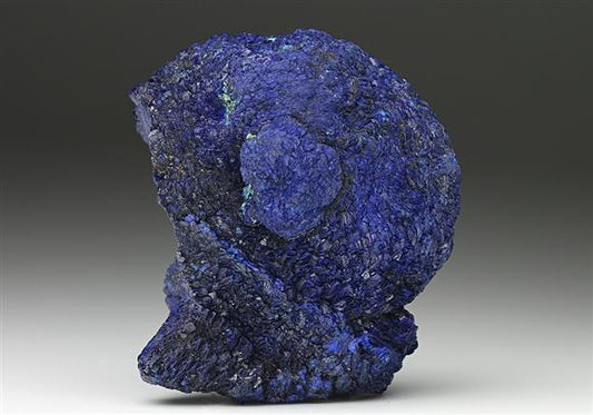 CC7736 specimen image