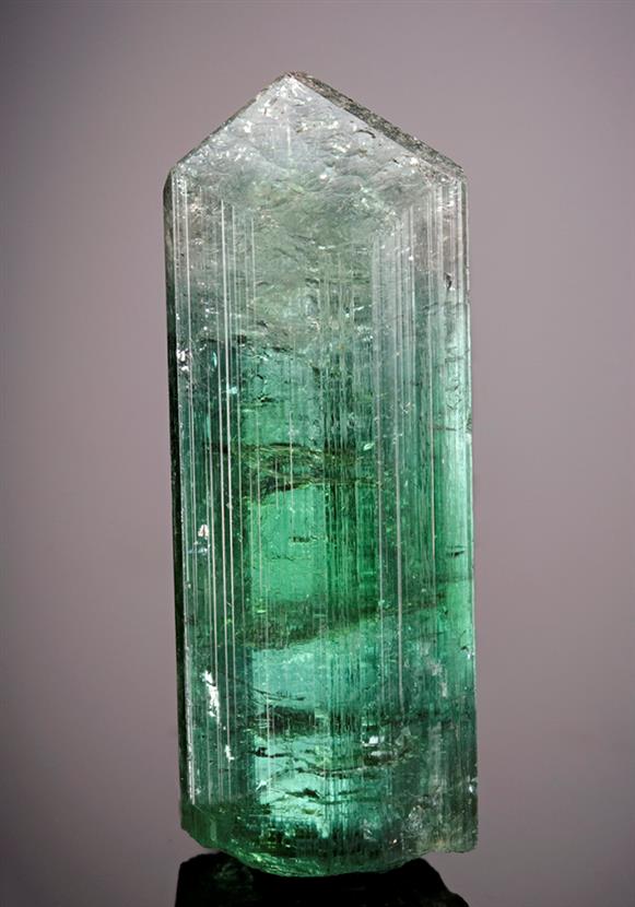 CC7760 specimen image