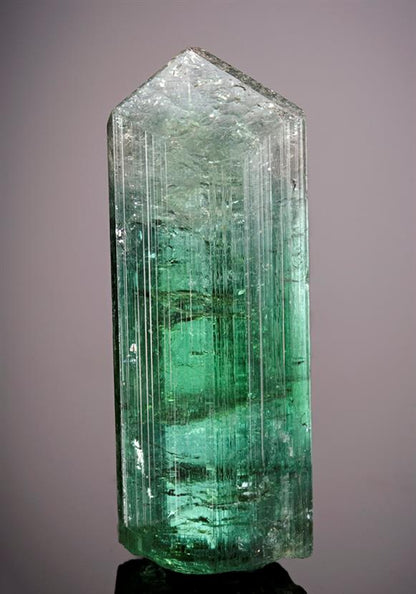 CC7760 specimen image