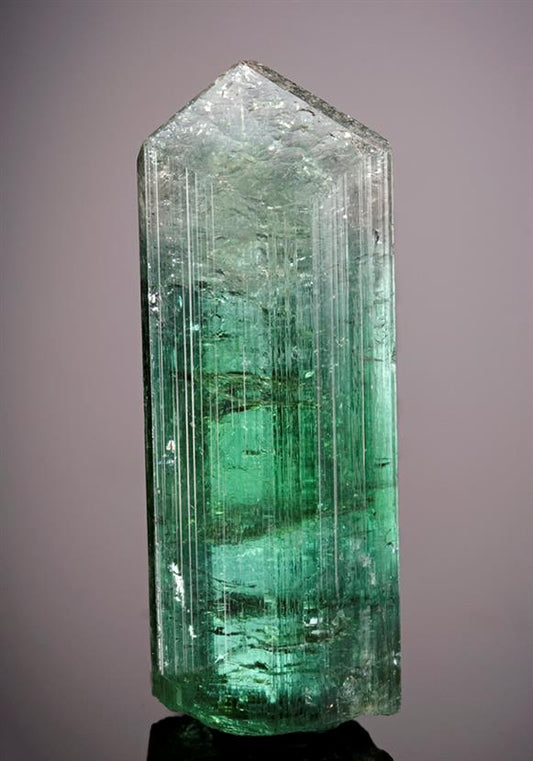 CC7760 specimen image