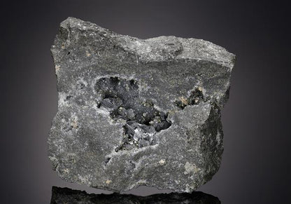 CC7767 specimen image