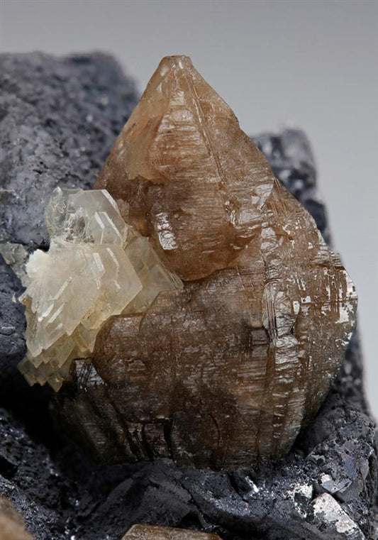 CC7768 specimen image