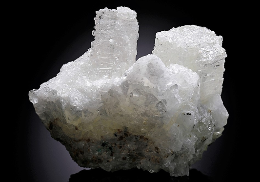 CC7770 specimen image