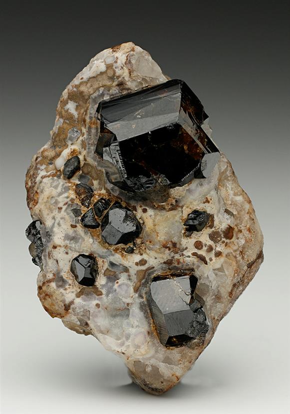 CC7772 specimen image