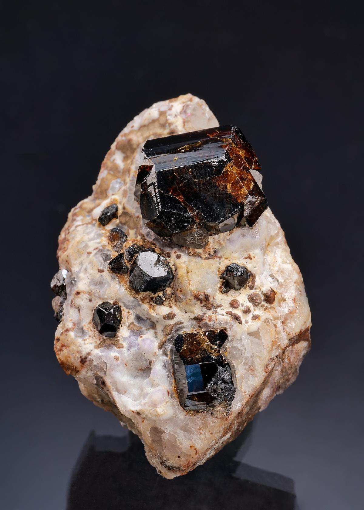 CC7772 specimen image