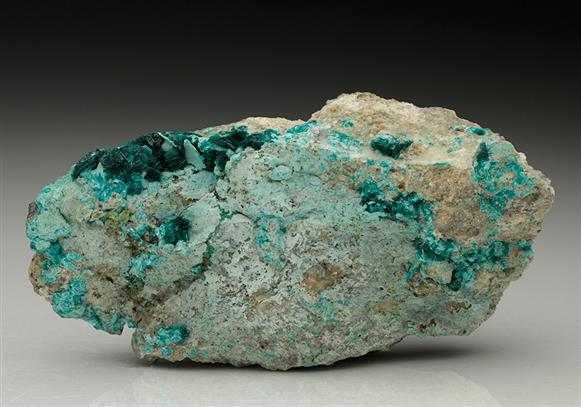 CC7773 specimen image