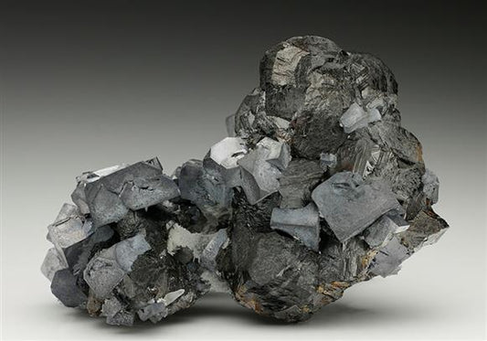 CC7776 specimen image