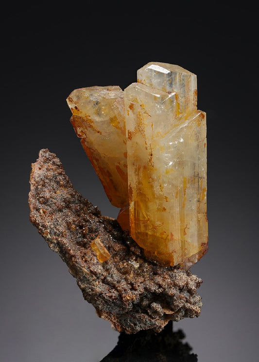 CC7783 specimen image