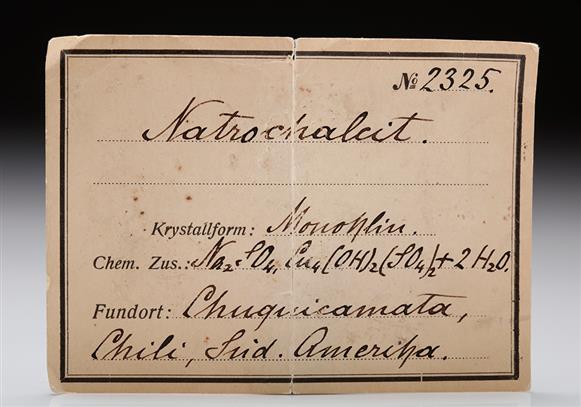 CC7784 specimen image