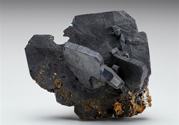 CC7787 specimen image