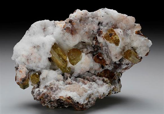 CC7790 specimen image