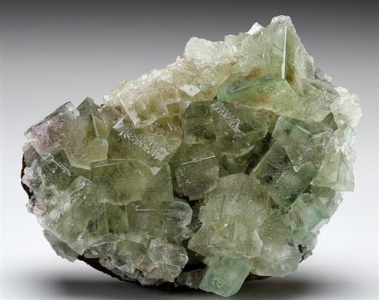 CC7799 specimen image