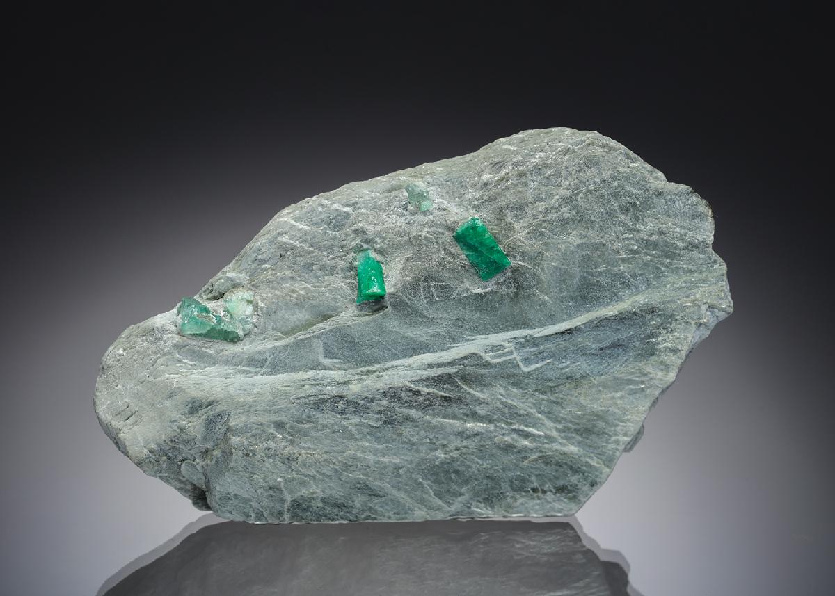 CC7804 specimen image