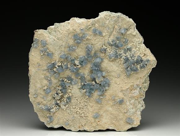 CC7811 specimen image