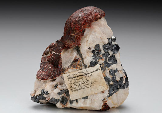 CC7834 specimen image
