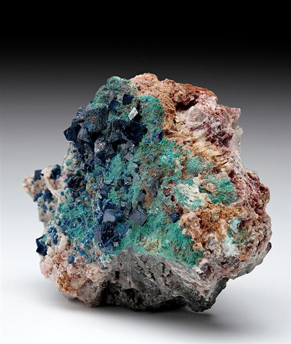 CC7846 specimen image