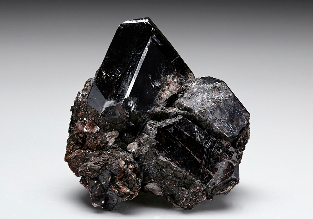 CC7849 specimen image