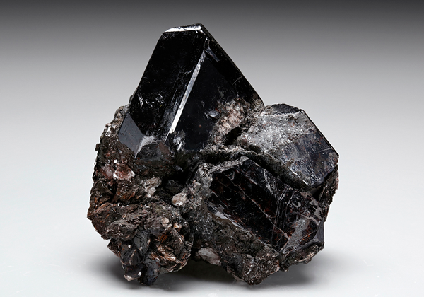 CC7849 specimen image