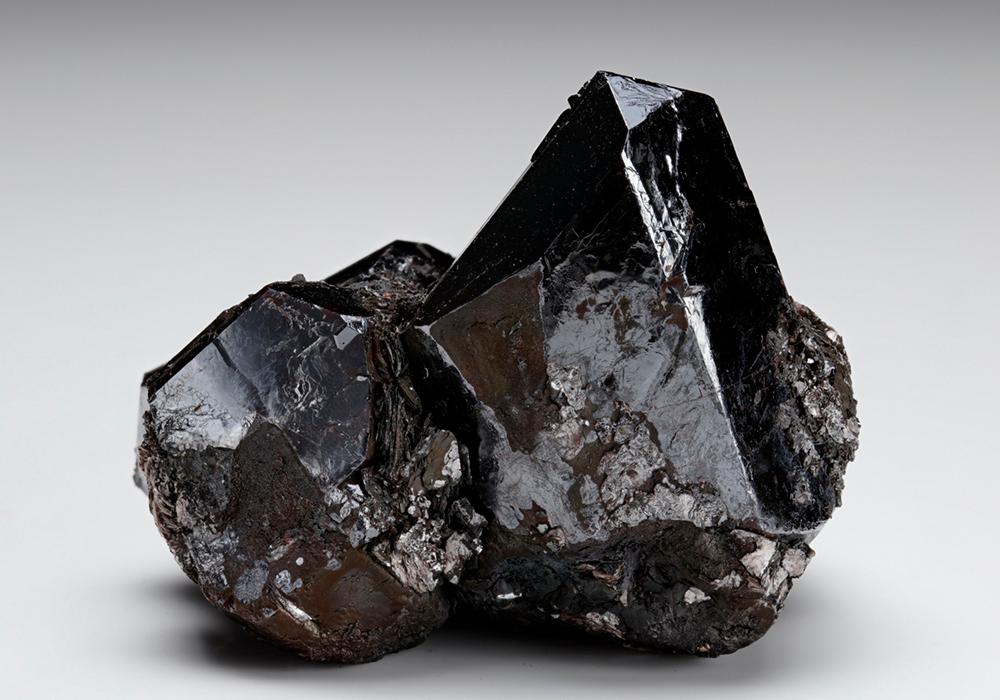 CC7849 specimen image