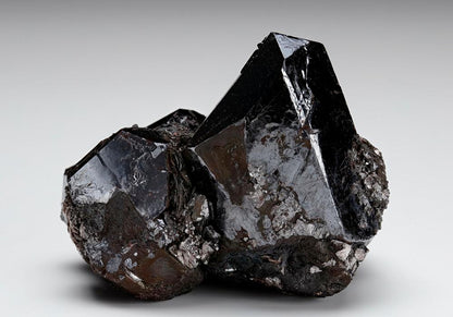 CC7849 specimen image