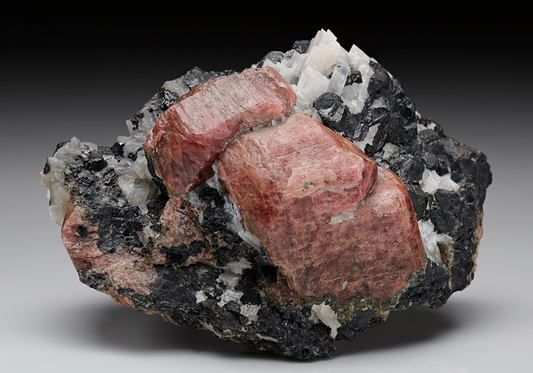 CC7869 specimen image
