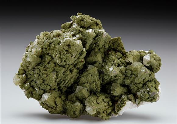 CC7874 specimen image