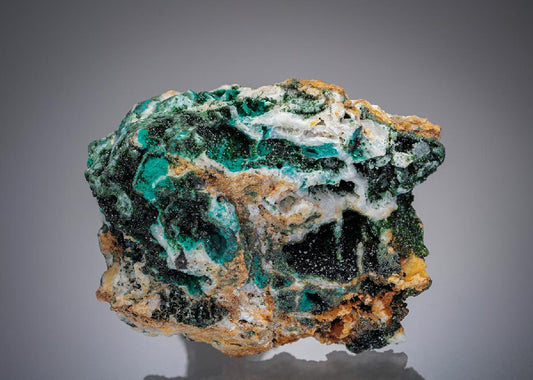 CC7879 specimen image
