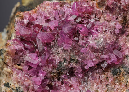 CC7884 specimen image