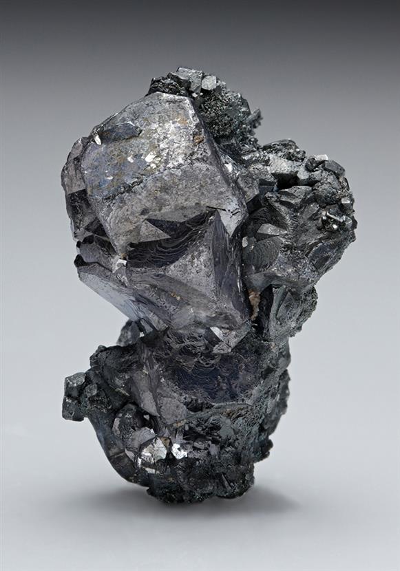 CC7886 specimen image