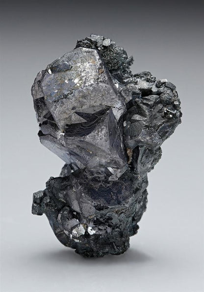 CC7886 specimen image