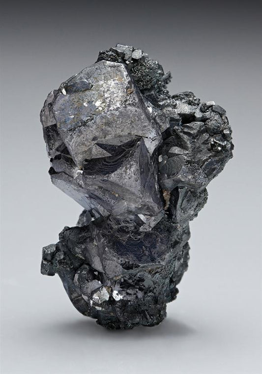 CC7886 specimen image