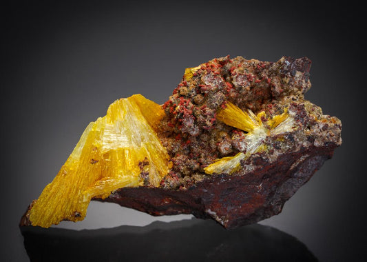 CC7891 specimen image