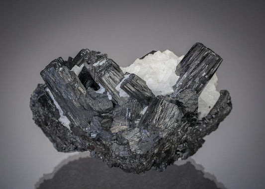 CC7900 specimen image