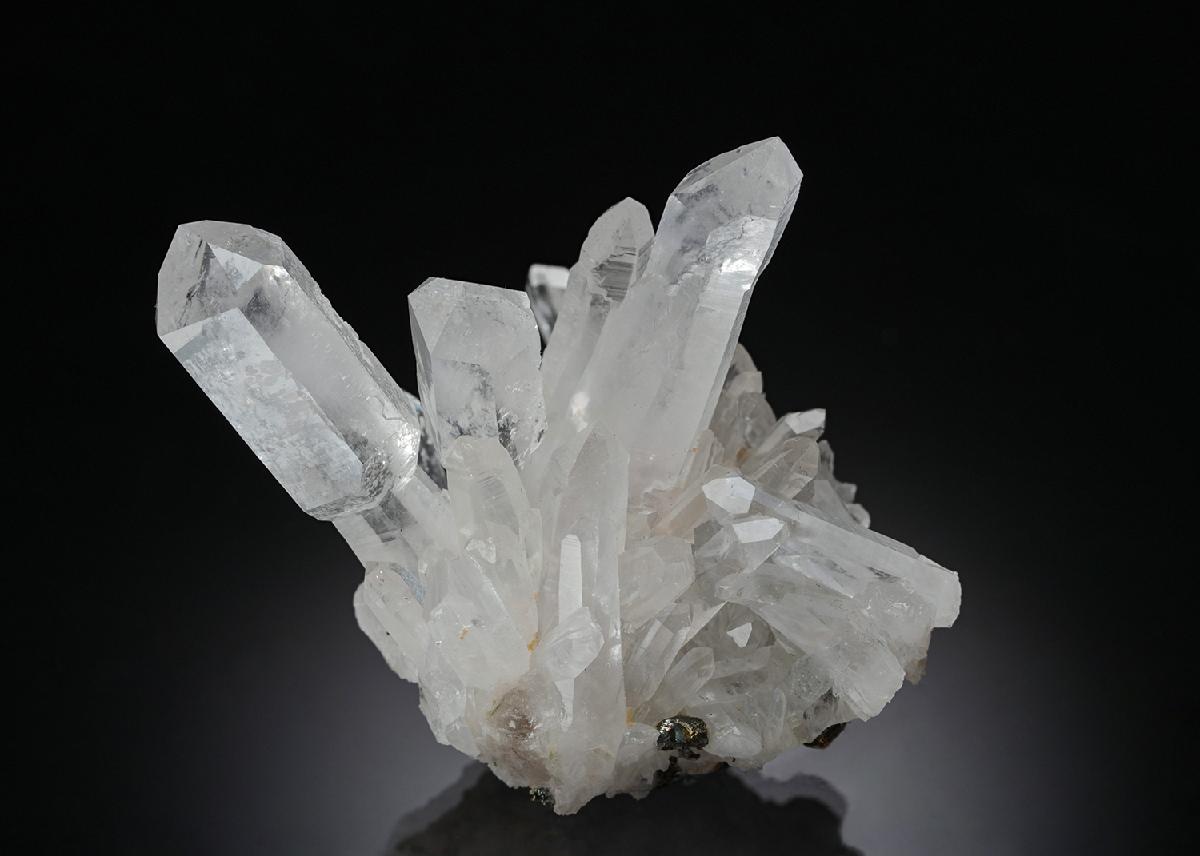 CC7914 specimen image